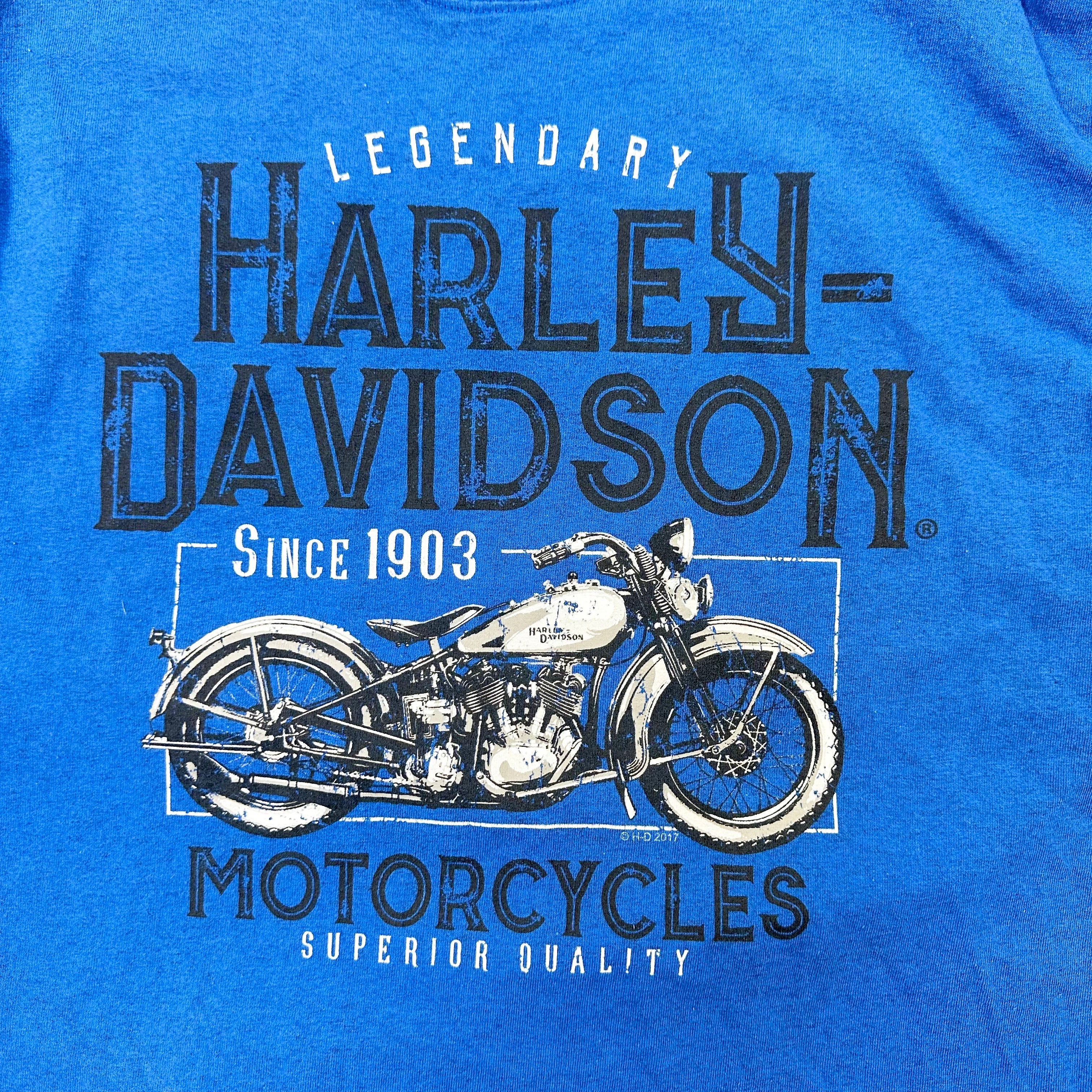 Harley Davidson Big Barn Big Print Graphic T Shirt - Extra Large